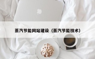 冠县蒸汽节能网站建设（蒸汽节能技术）